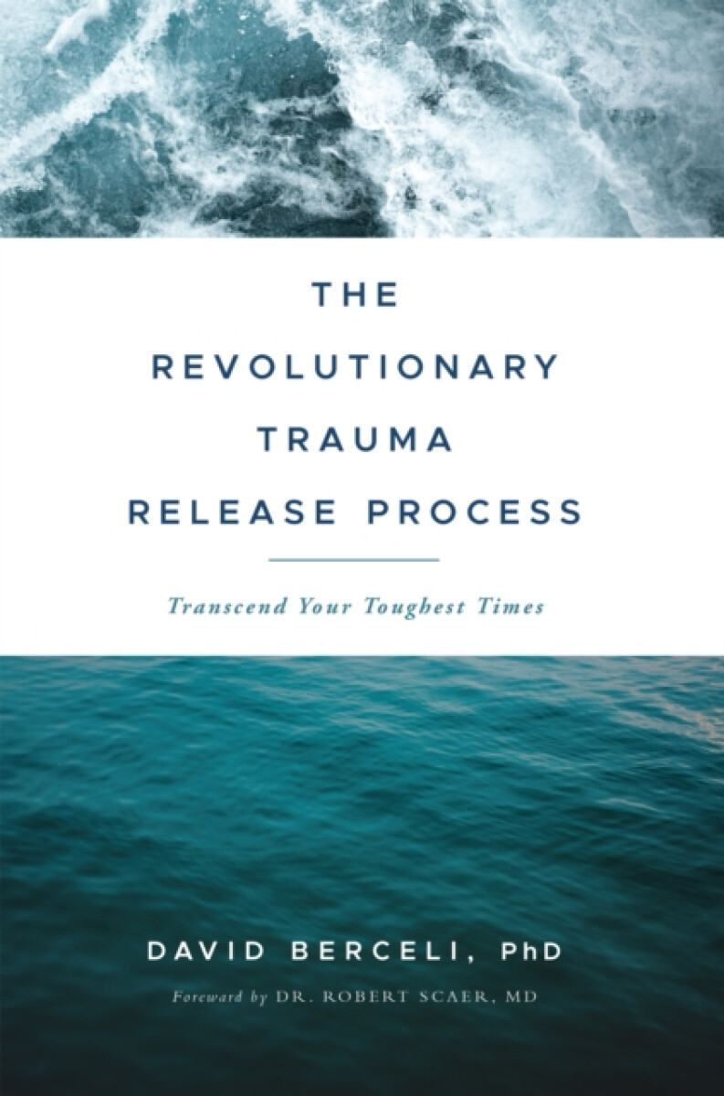 Kniha Revolutionary Trauma Release Process