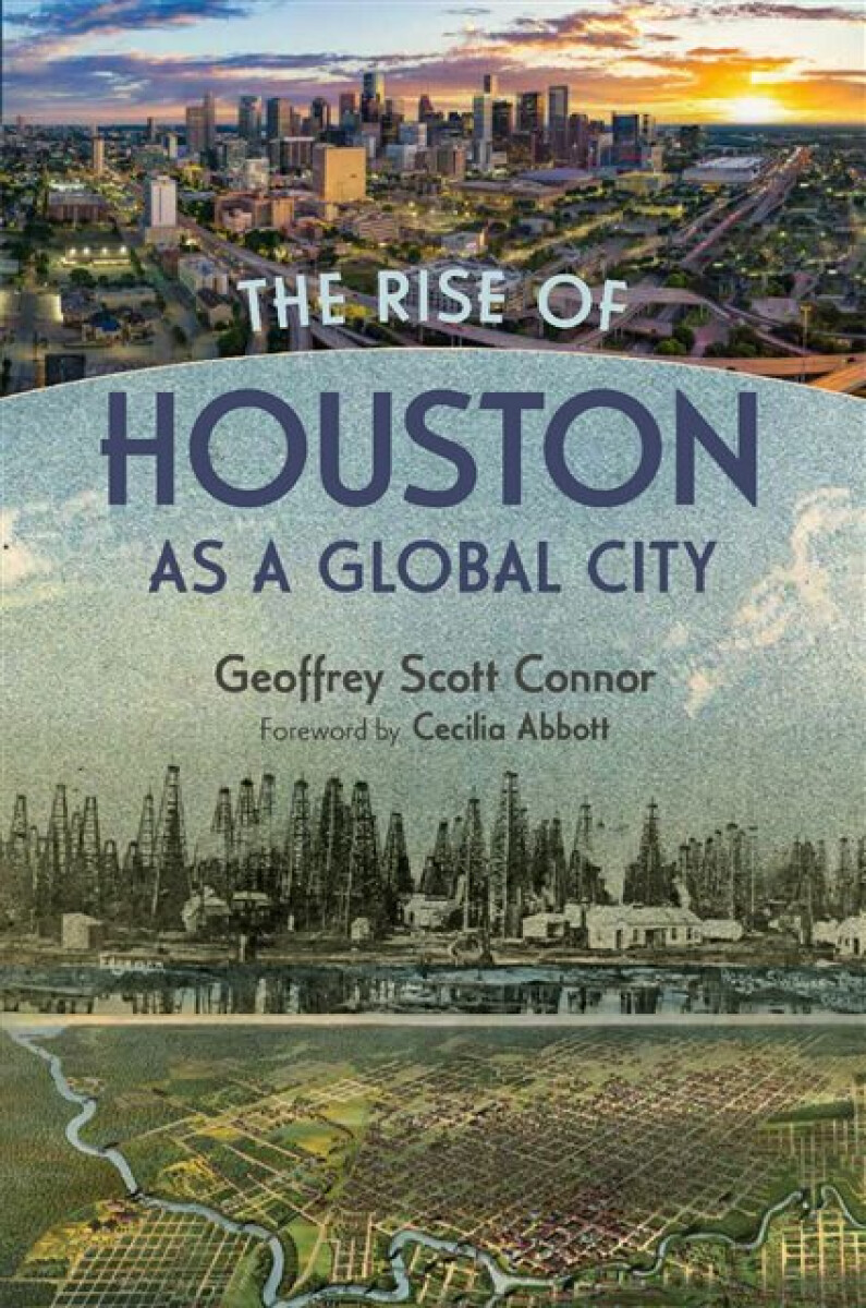 Kniha Rise of Houston As a Global City
