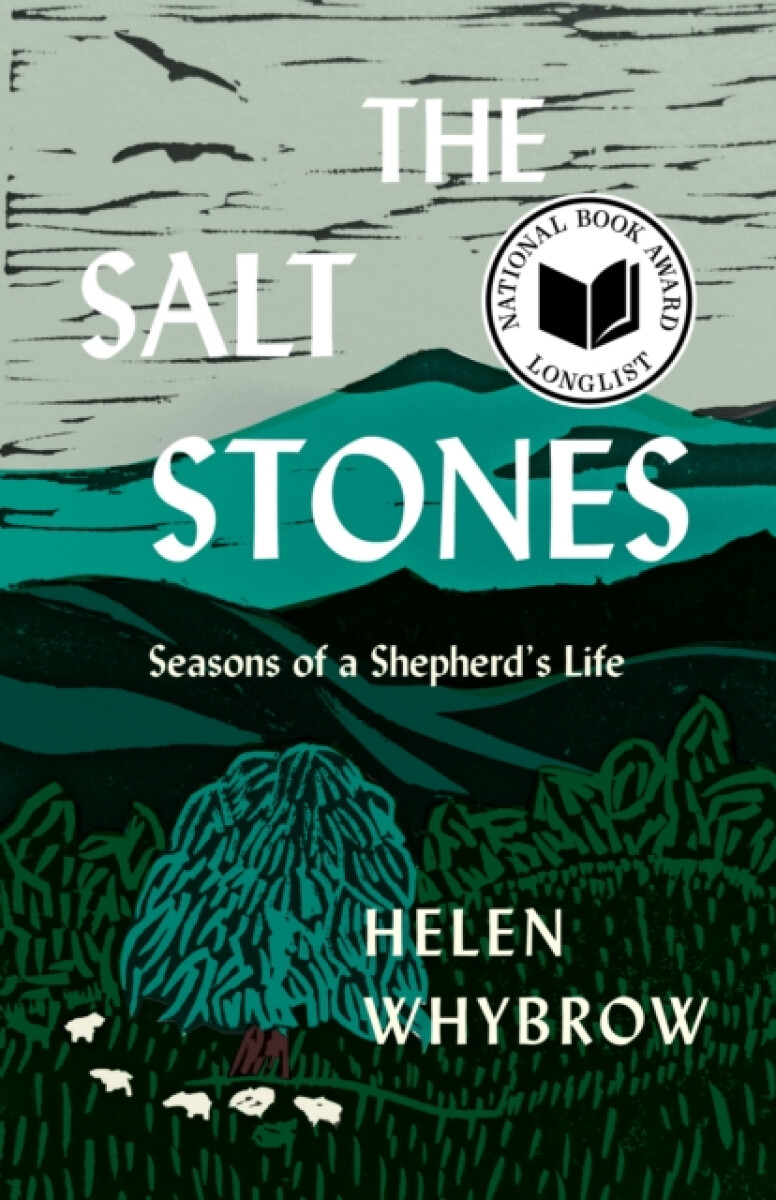 Kniha Salt Stones