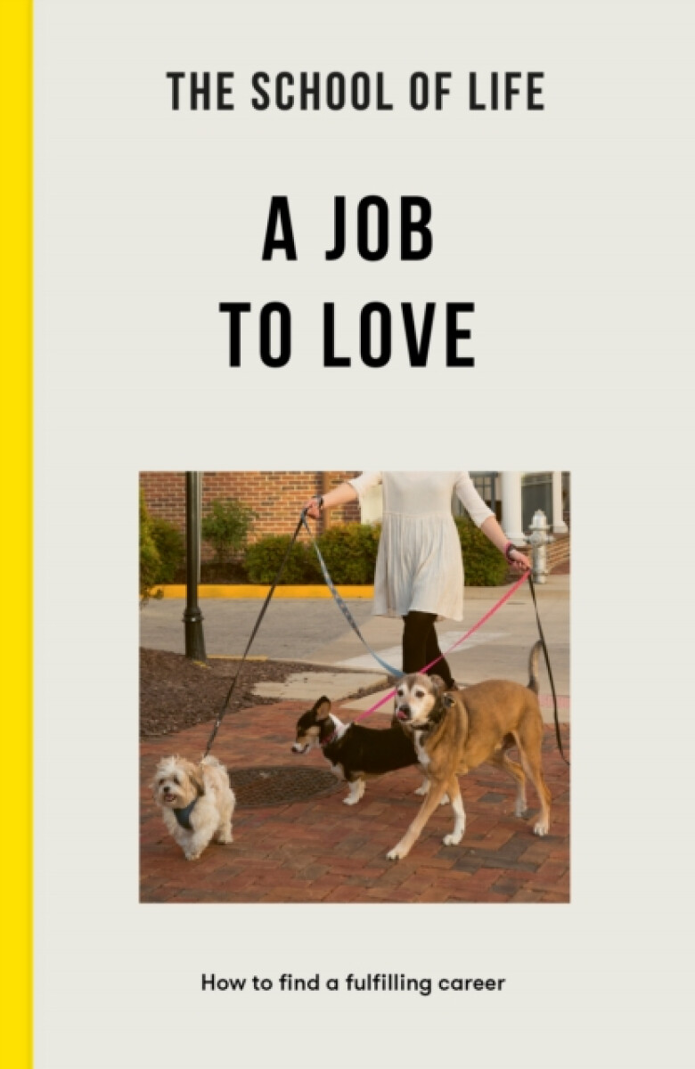 Kniha School of Life: A Job to Love