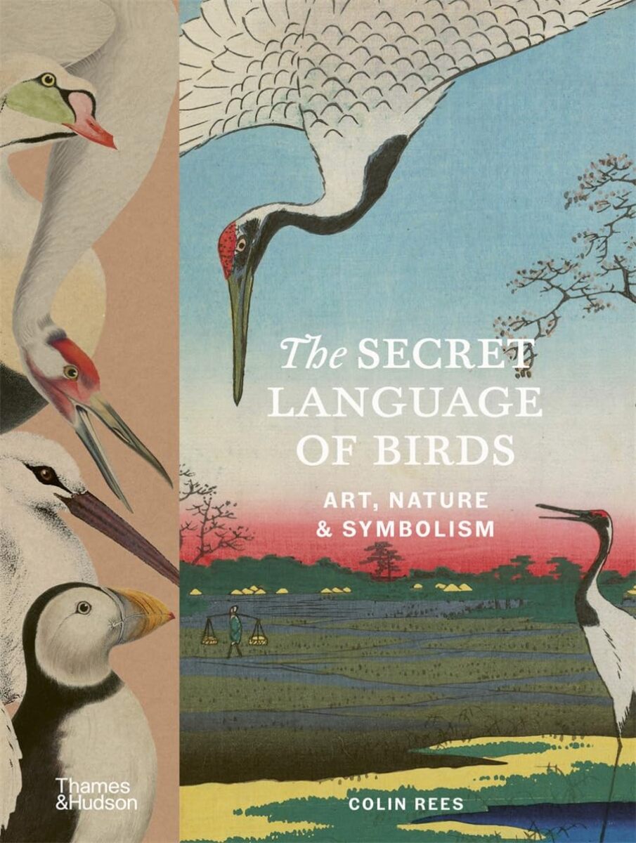 Kniha The Secret Language of Birds