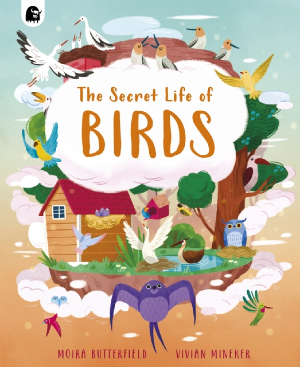 Kniha Secret Life of Birds