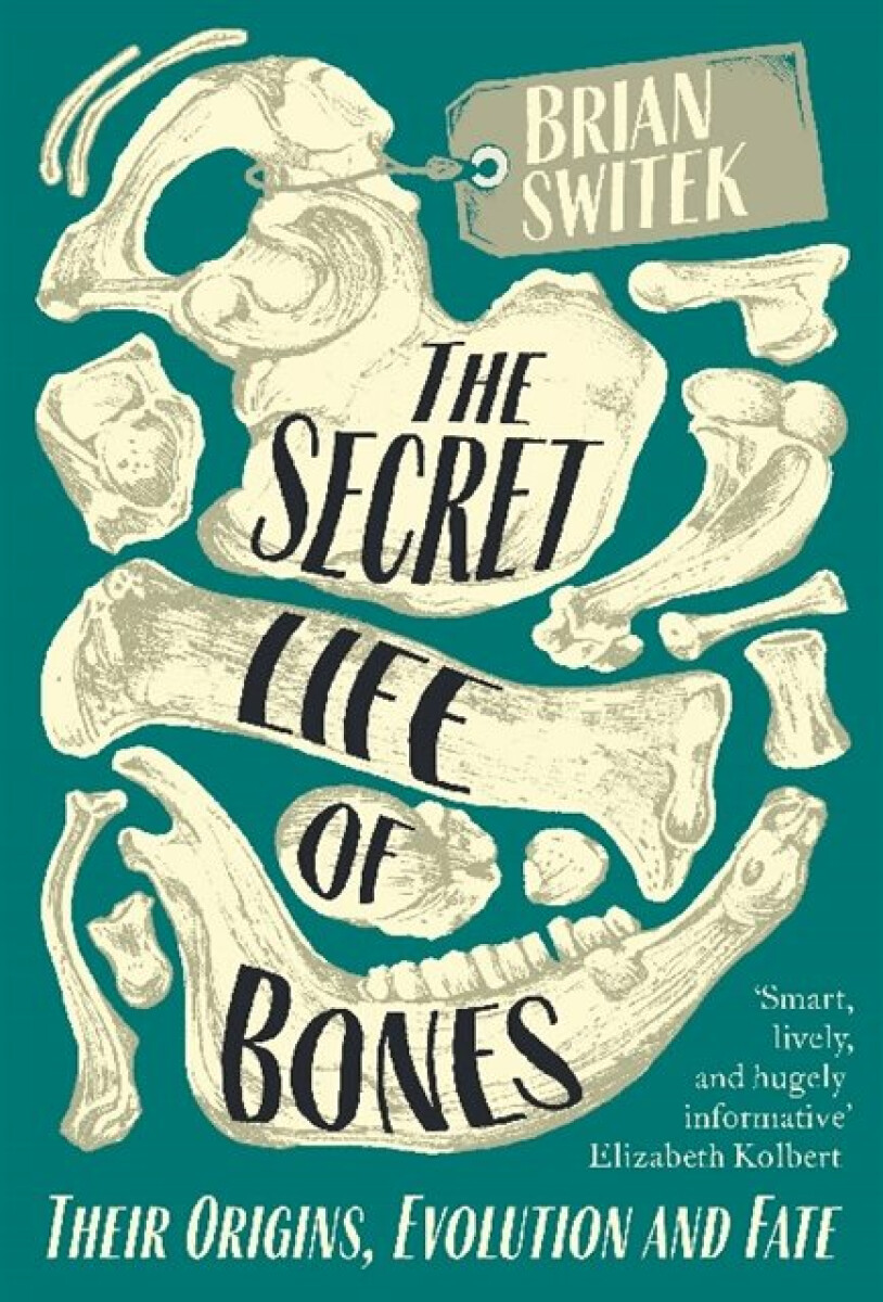 Kniha Secret Life of Bones