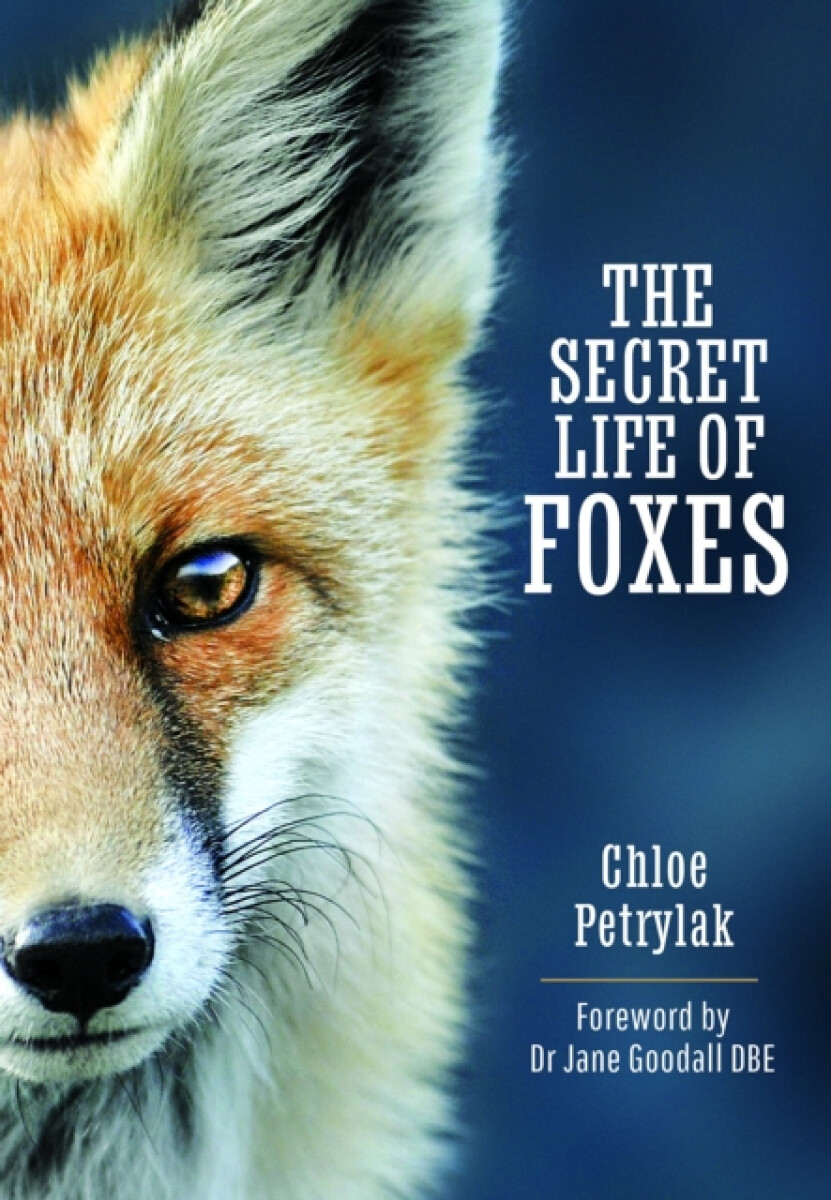 Kniha Secret Life of Foxes