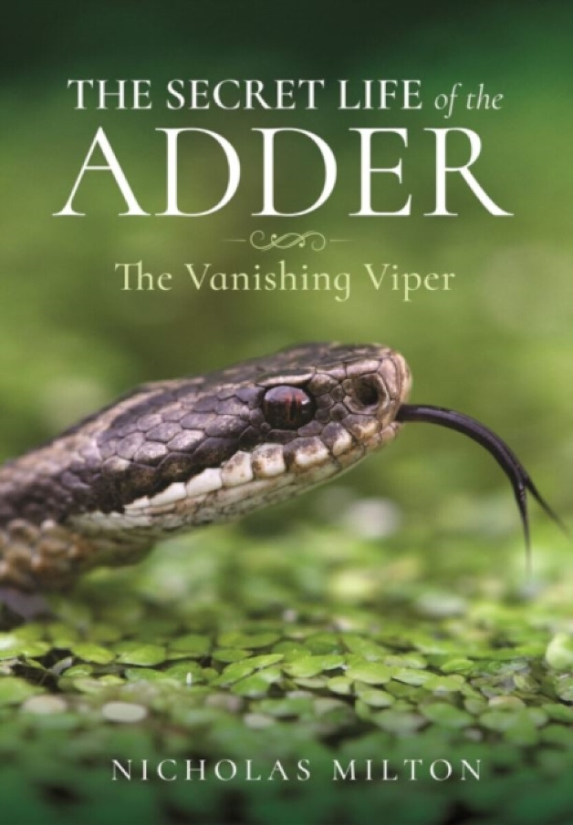 Kniha Secret Life of the Adder