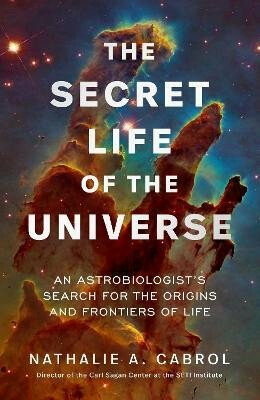 Kniha Secret Life of the Universe