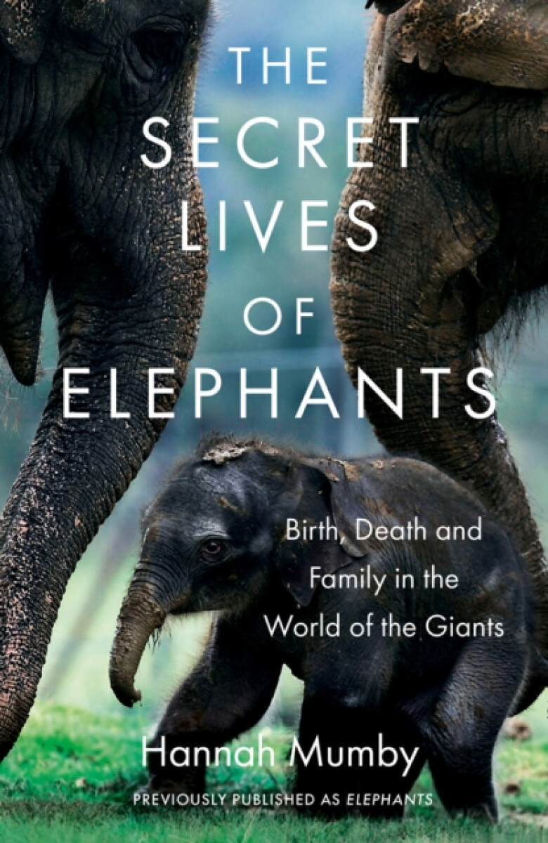 Kniha Secret Lives of Elephants
