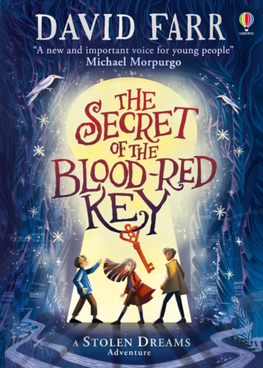 Kniha The Secret of the Blood-Red Key