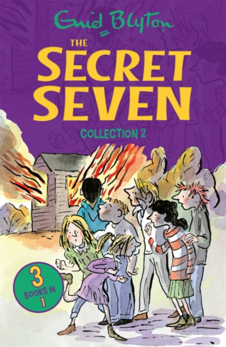 Kniha Secret Seven Collection 2