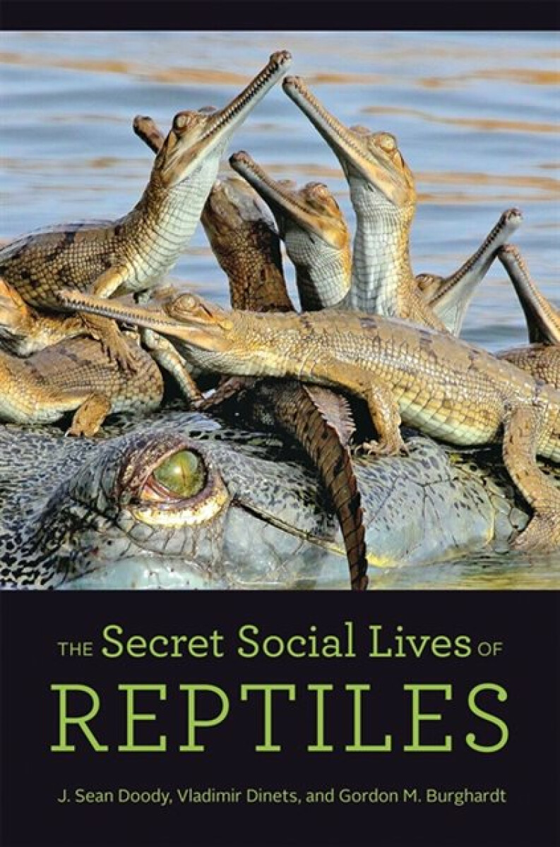 Kniha Secret Social Lives of Reptiles