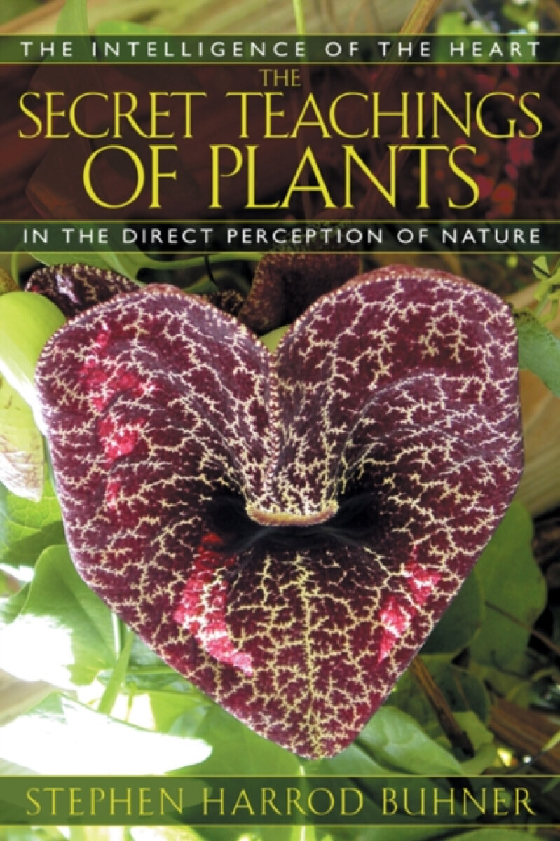 Kniha The Secret Teachings of Plants