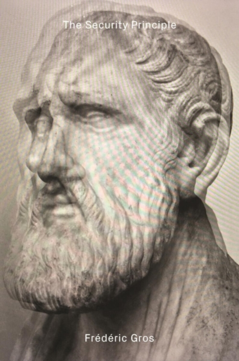 Kniha Security Principle