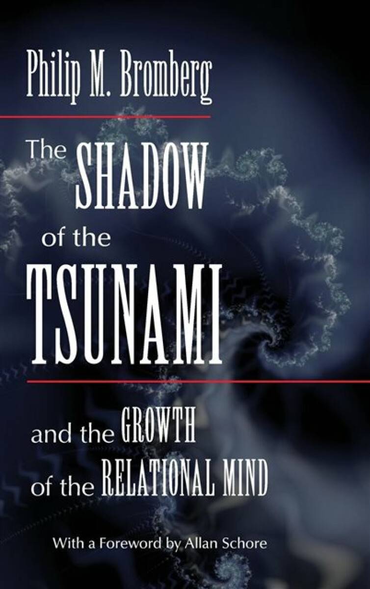 Kniha Shadow of the Tsunami
