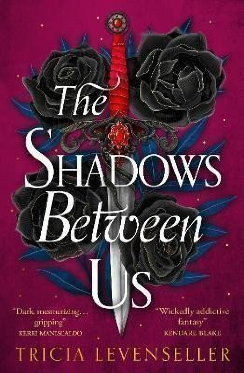 Kniha Shadows Between Us