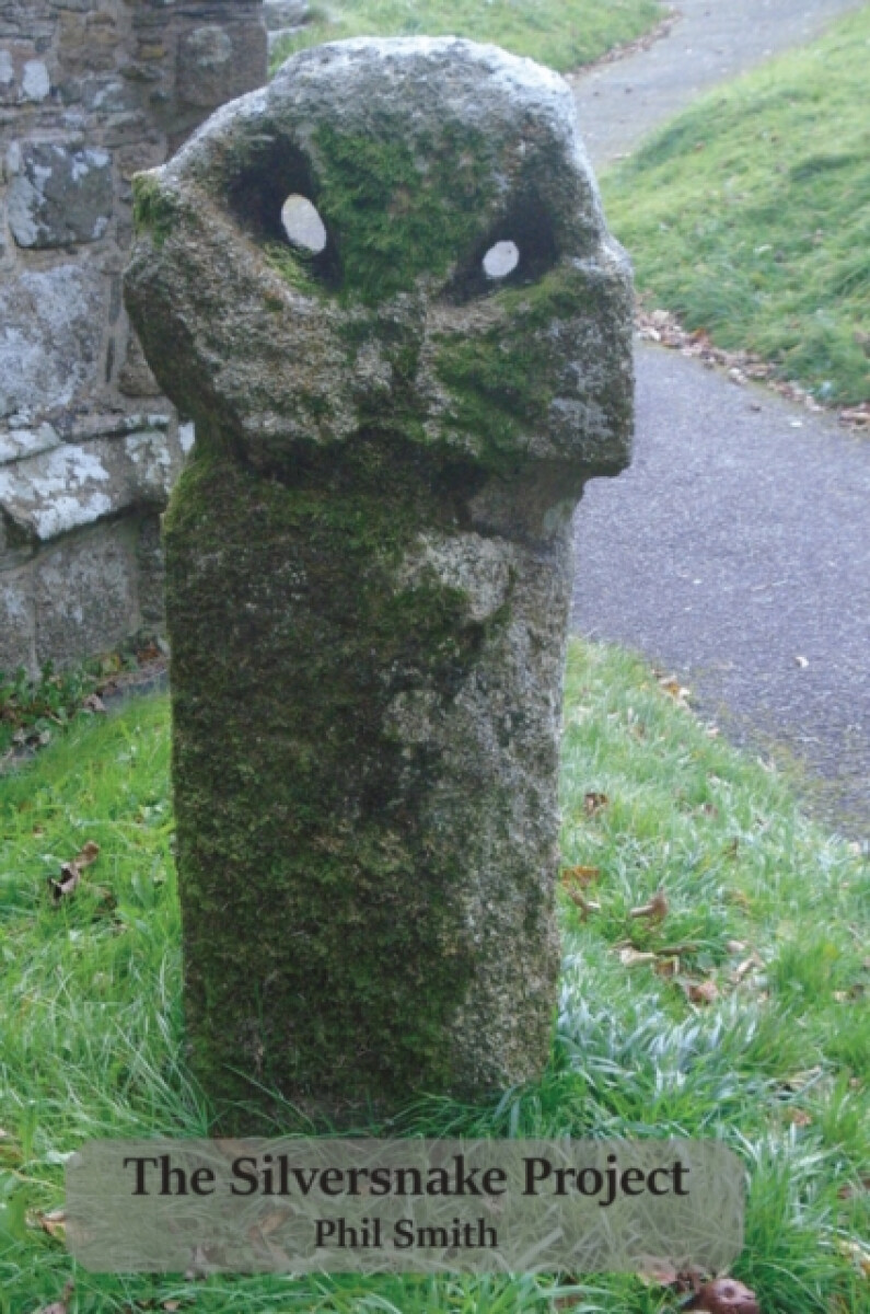 Kniha Silversnake Project