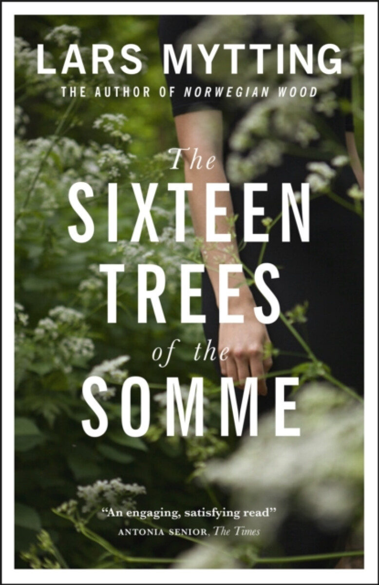 Kniha The Sixteen Trees of the Somme