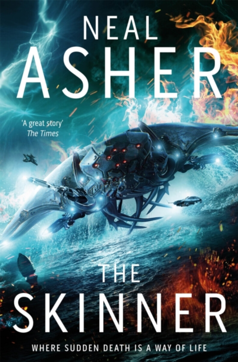 Kniha Skinner