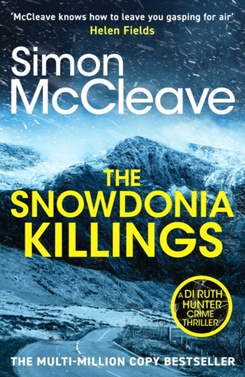 Kniha The Snowdonia Killings