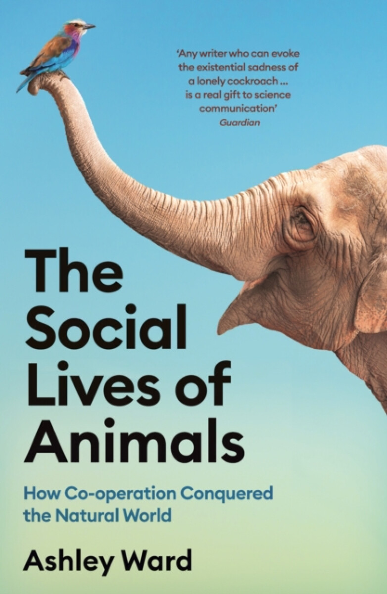 Kniha The Social Lives of Animals