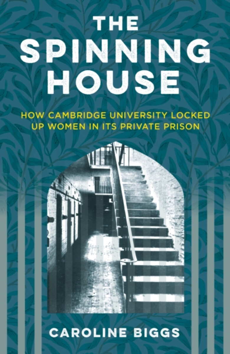 The Spinning House - Caroline Biggs