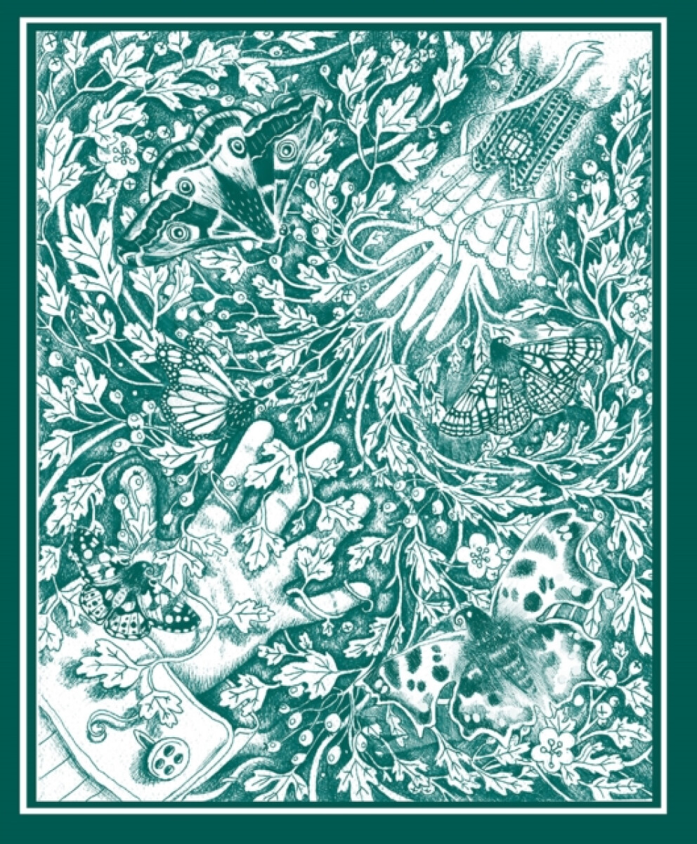 Kniha The Stolen Child