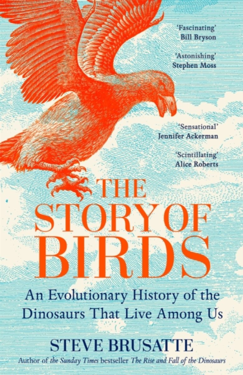 Kniha Story of Birds