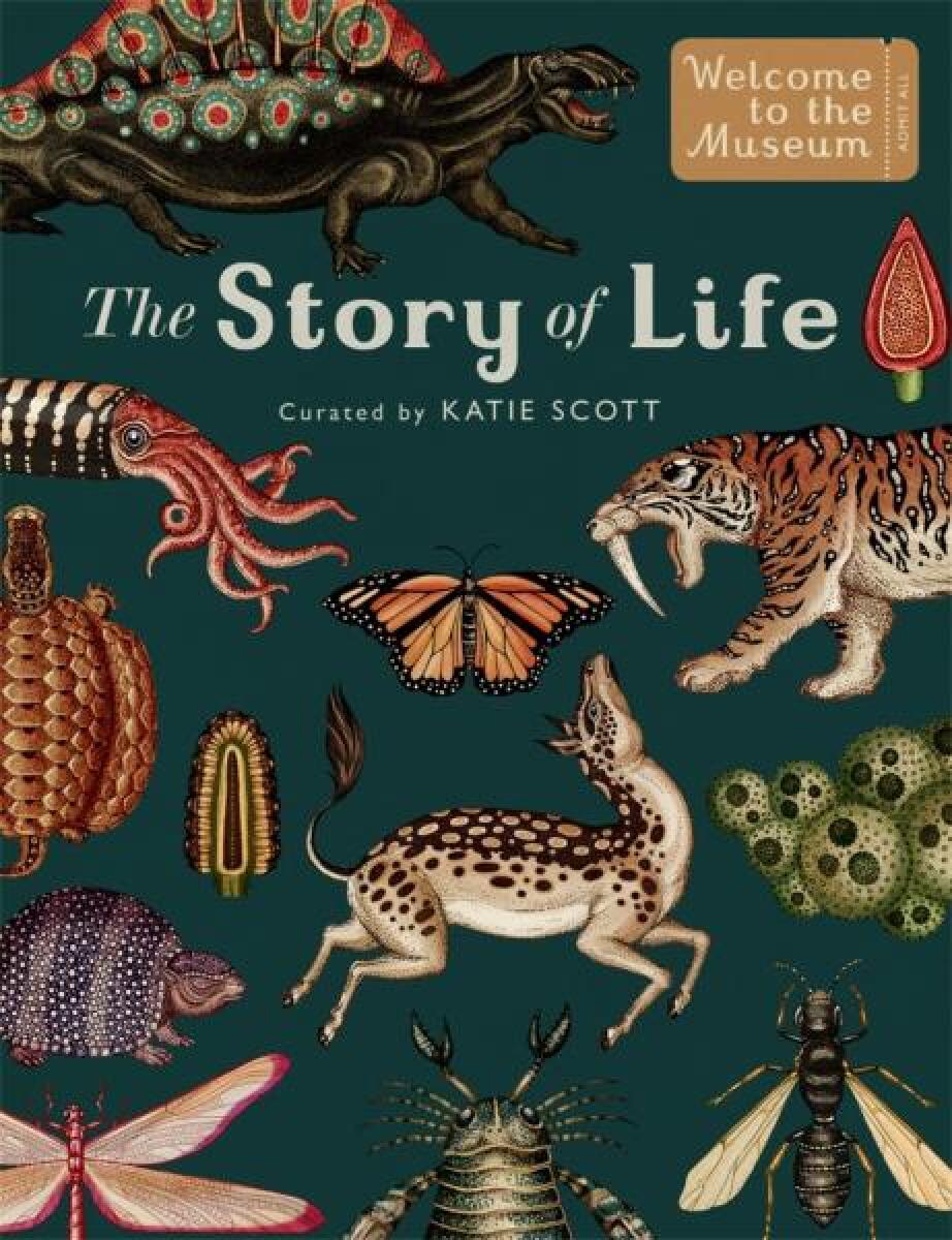 Kniha The Story of Life: Evolution (Extended Edition)