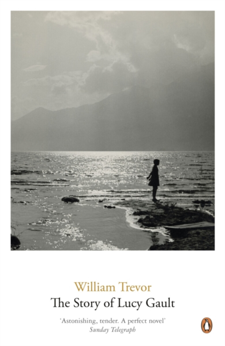 Kniha Story of Lucy Gault