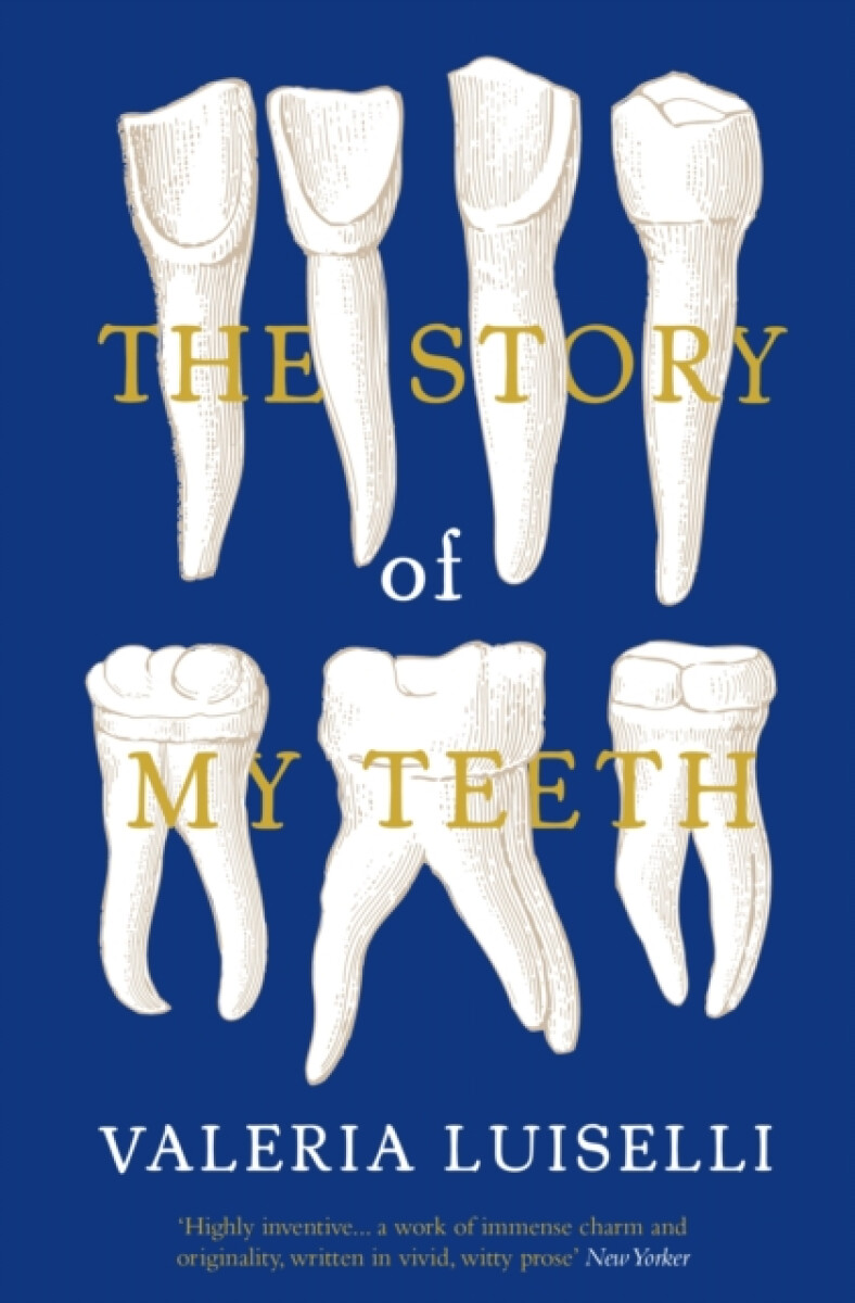Kniha Story of My Teeth