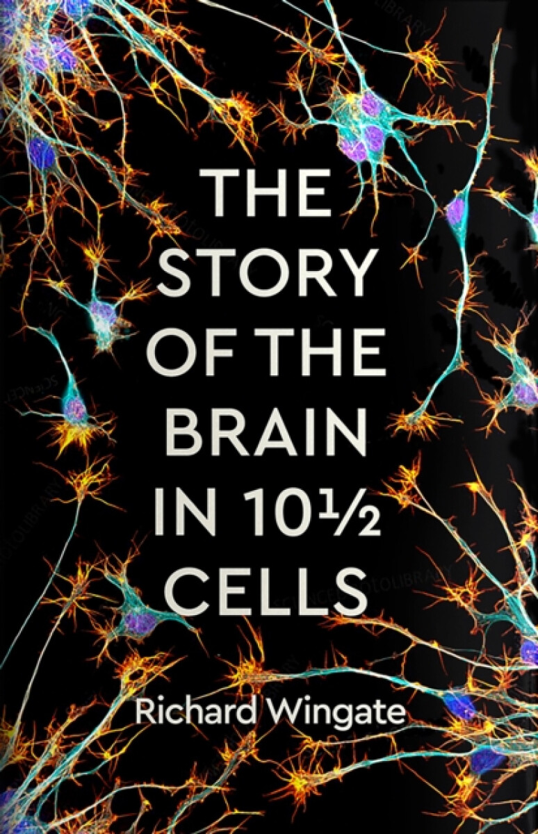 Kniha Story of the Brain in 10 Cells