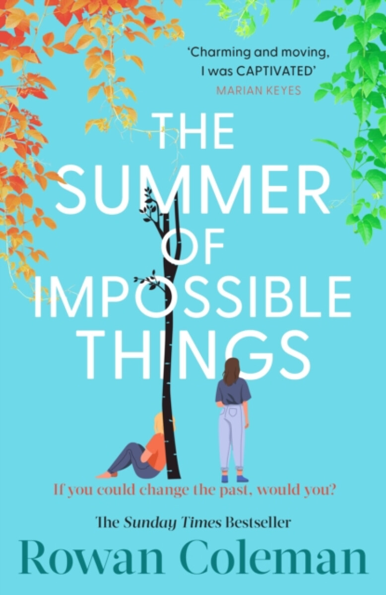 Kniha Summer of Impossible Things