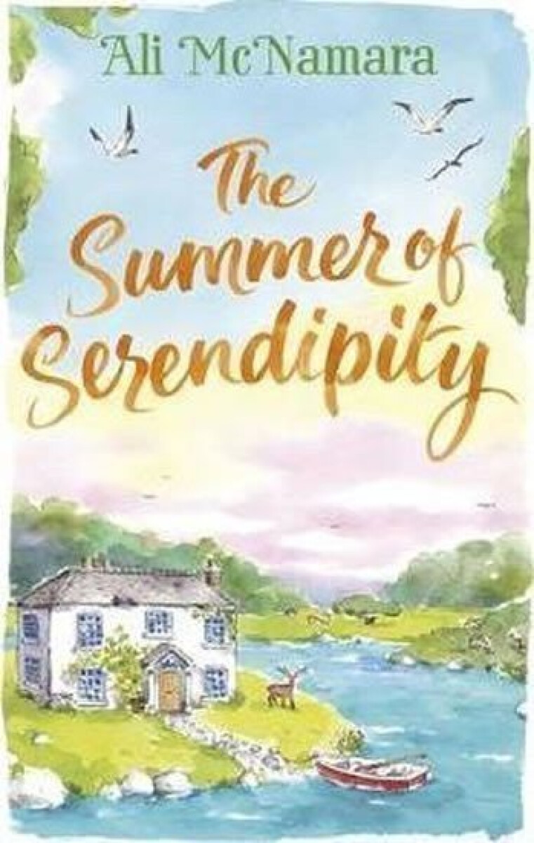 Kniha Summer of Serendipity