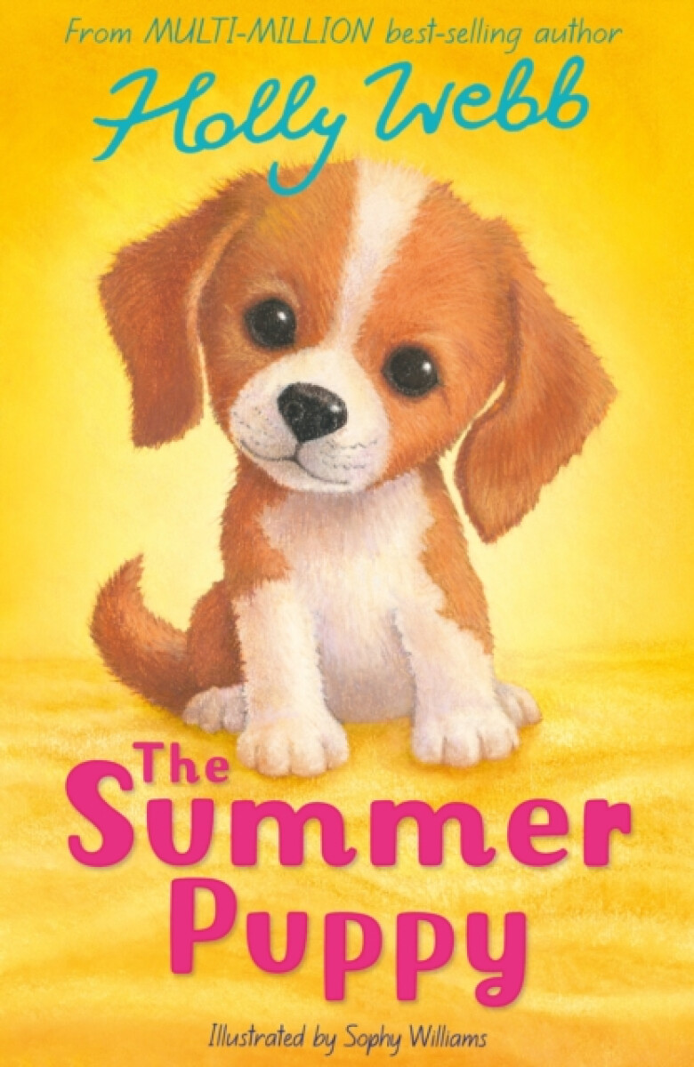 Kniha Summer Puppy