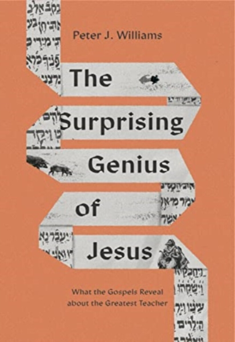 Kniha Surprising Genius of Jesus