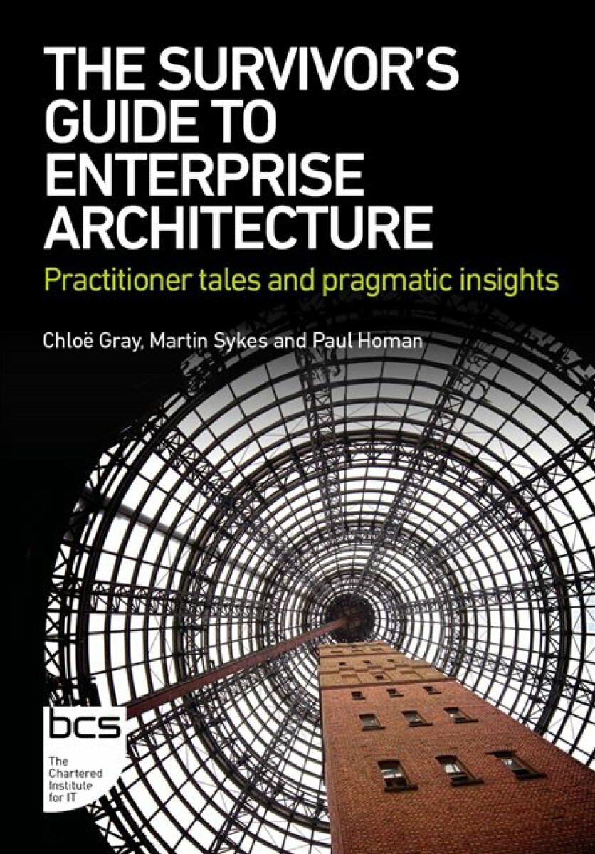 Kniha Survivor's Guide to Enterprise Architecture