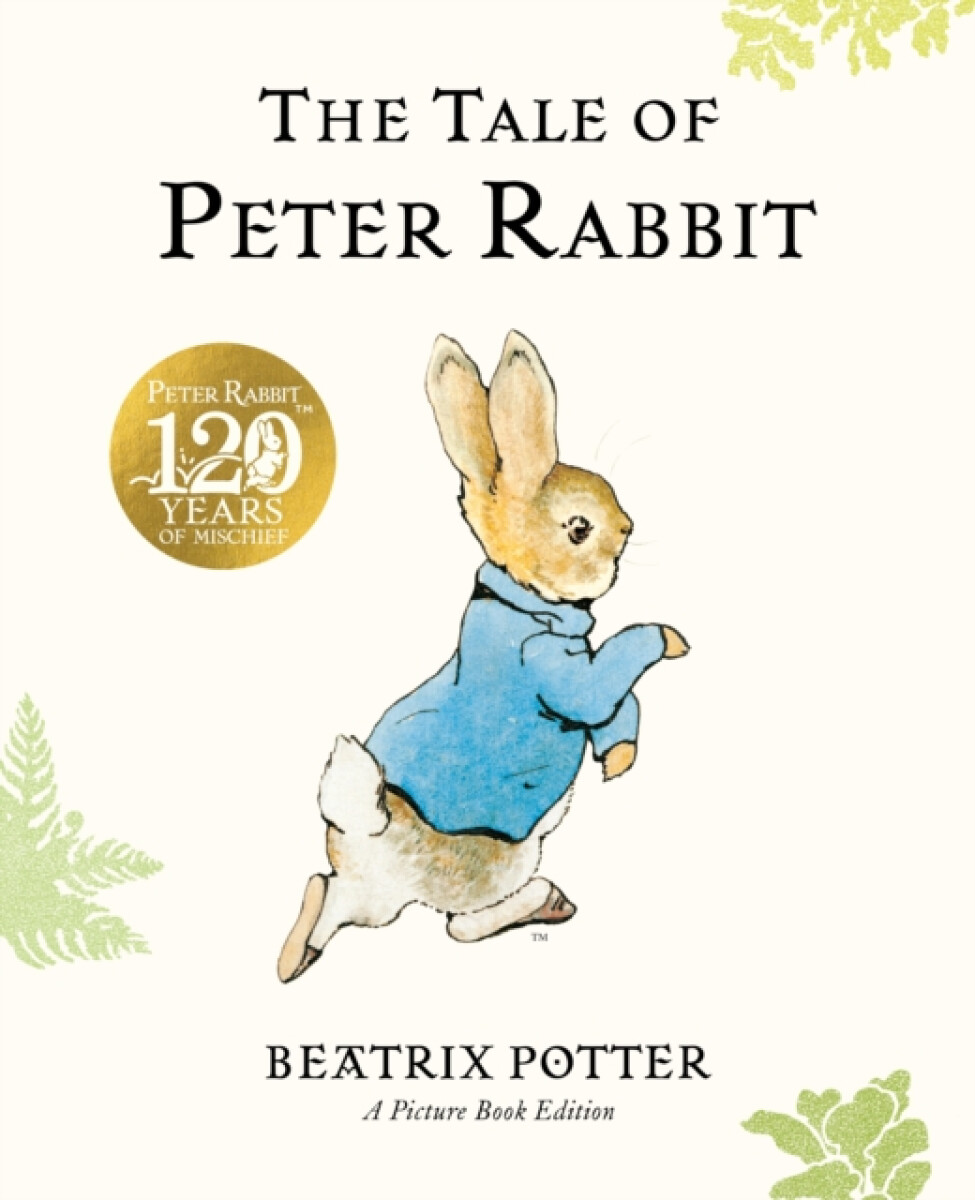 Kniha Tale of Peter Rabbit Picture Book