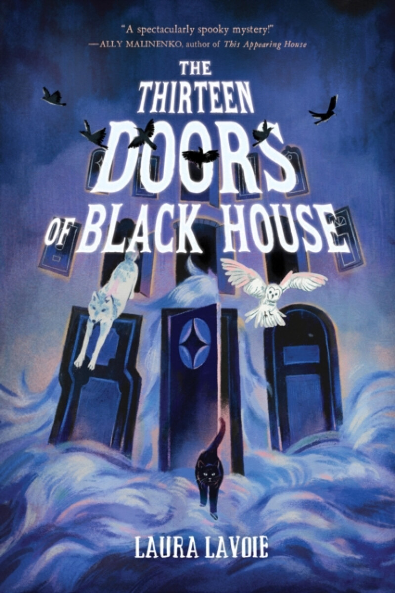 Kniha Thirteen Doors of Black House