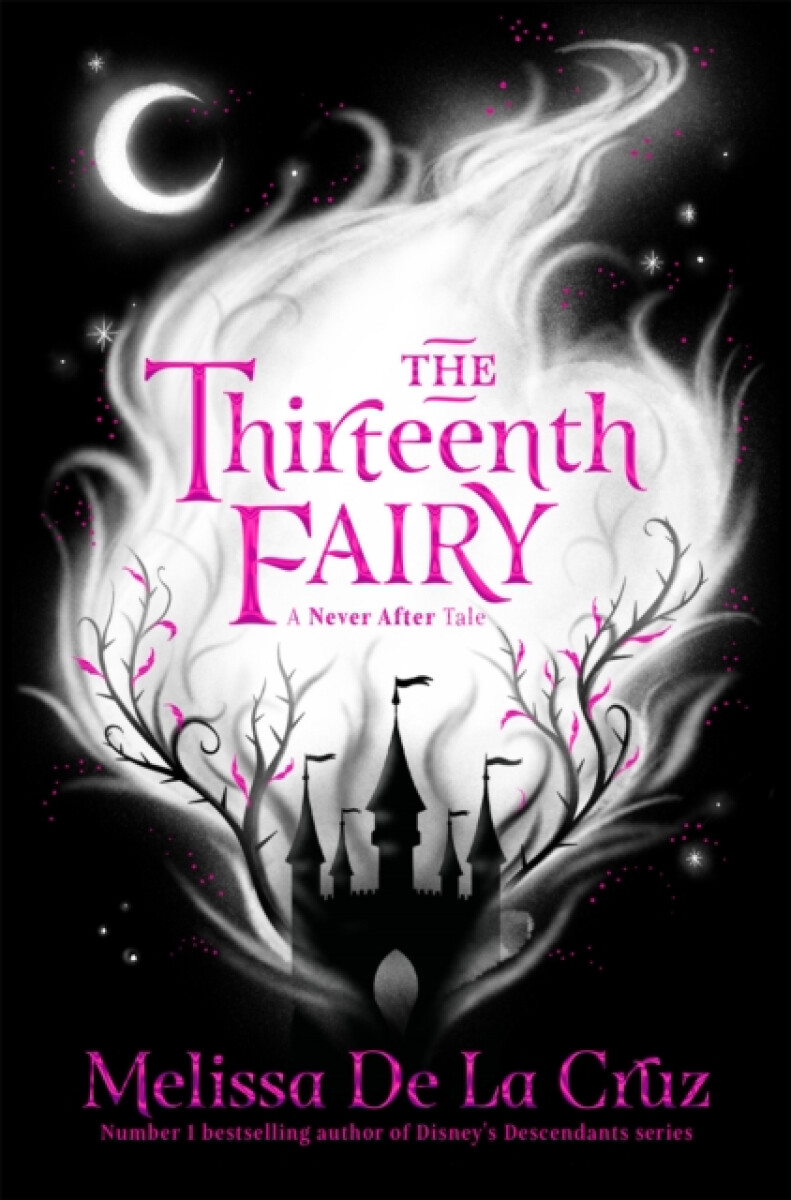 Kniha Thirteenth Fairy