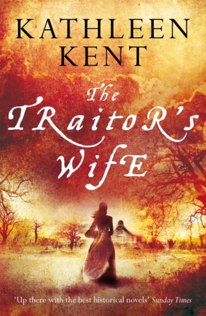 Kniha The Traitor's Wife