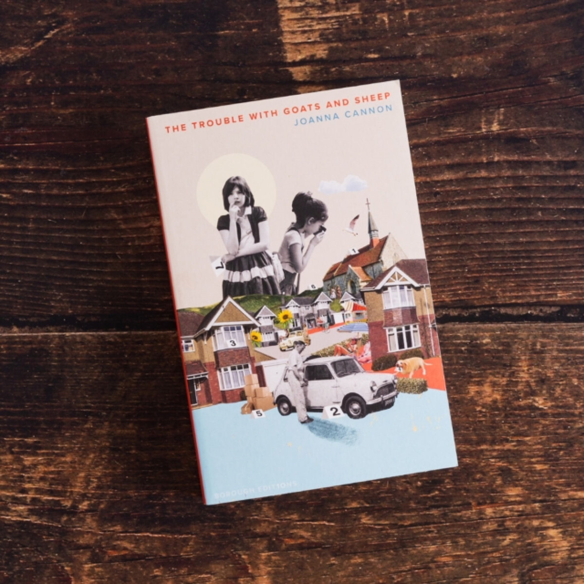 Kniha Trouble with Goats and Sheep