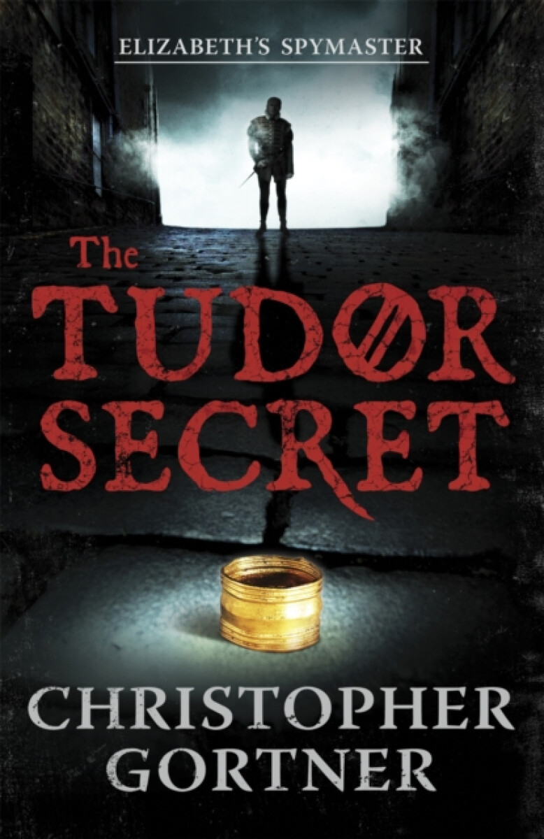 Kniha Tudor Secret