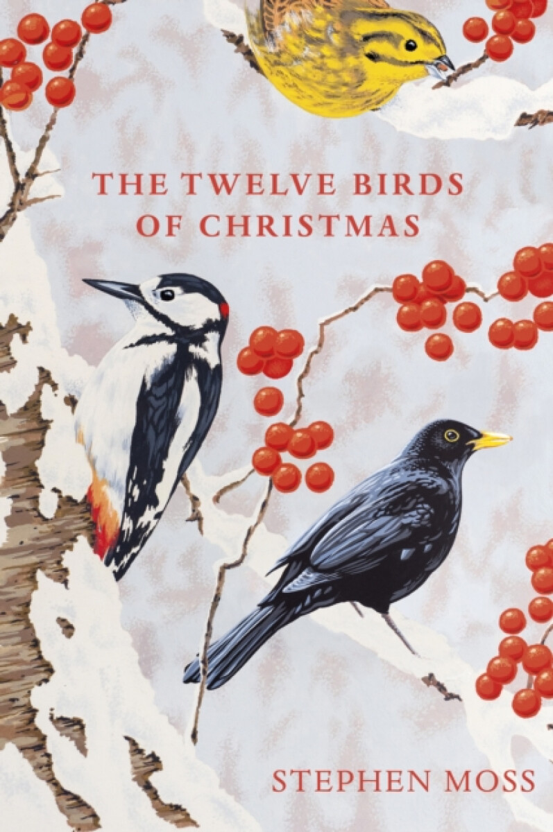 Kniha The Twelve Birds of Christmas