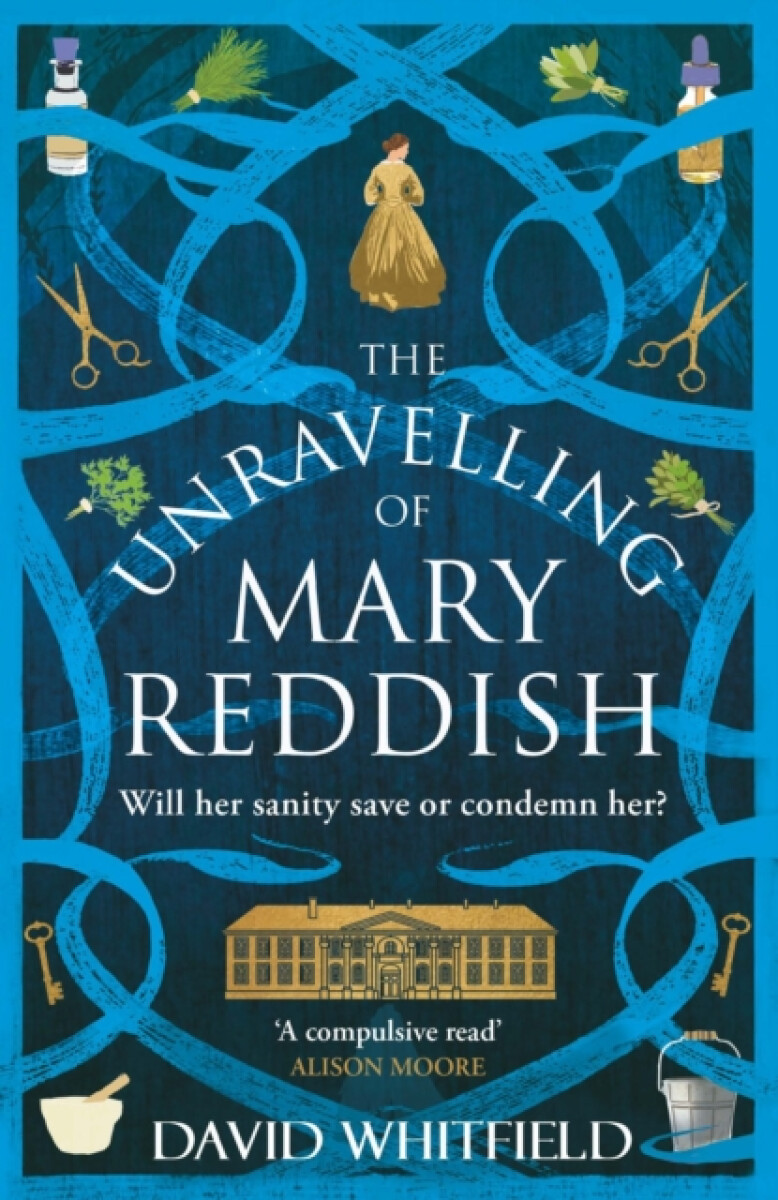 Kniha Unravelling of Mary Reddish