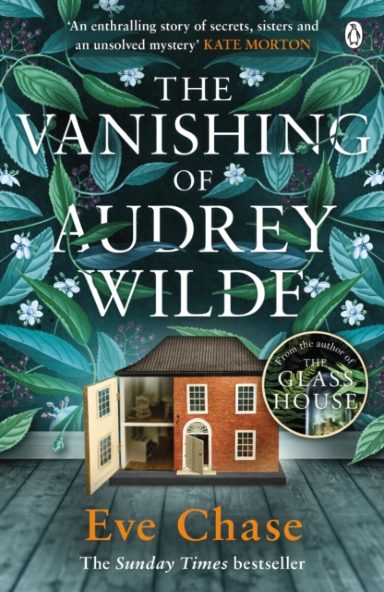 Kniha Vanishing of Audrey Wilde