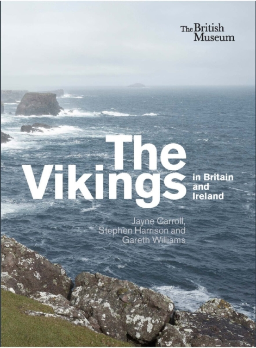 Kniha Vikings in Britain and Ireland