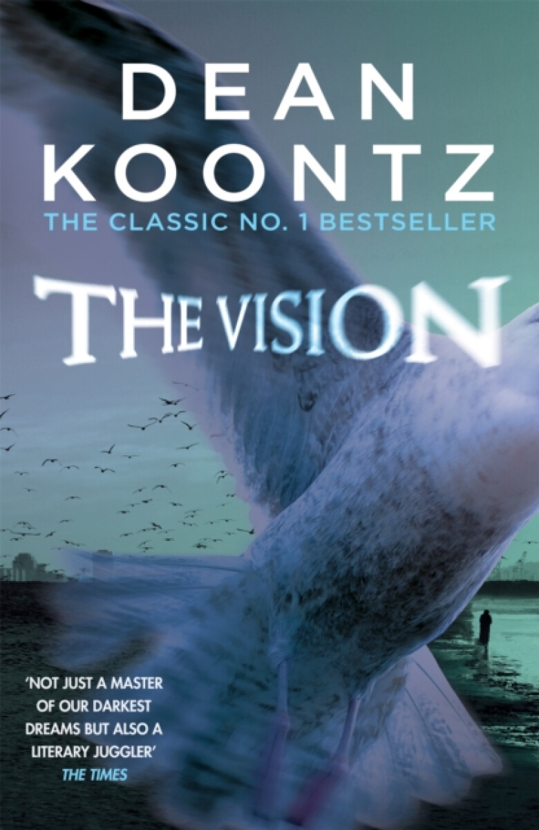 Kniha Vision