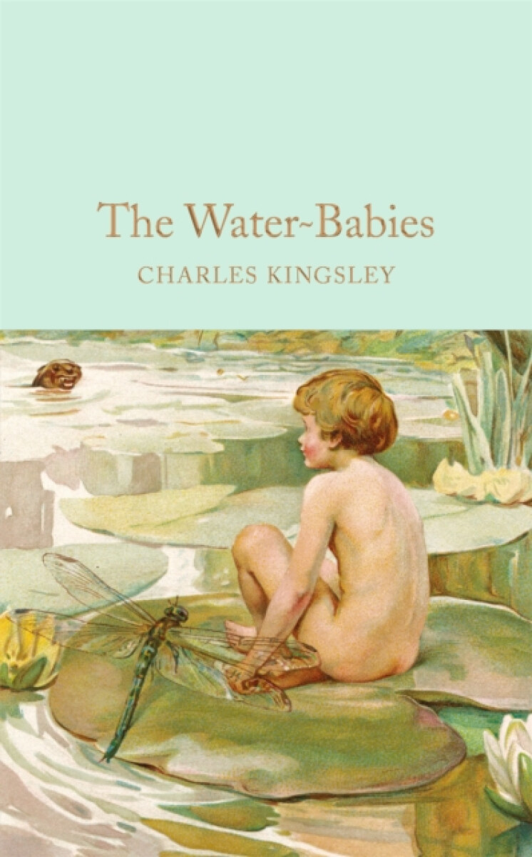 Kniha Water-Babies