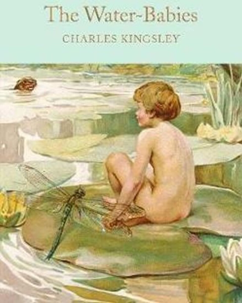 Kniha Water-Babies