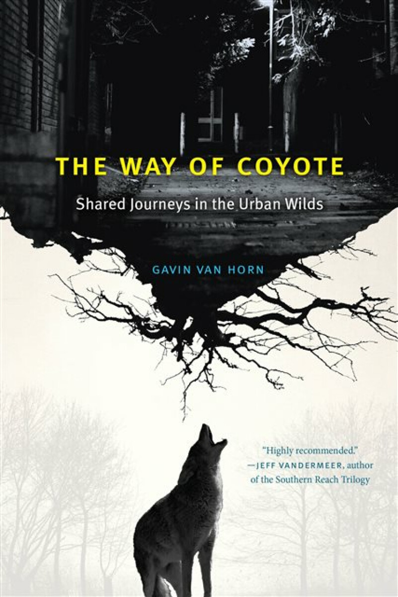 Kniha Way of Coyote