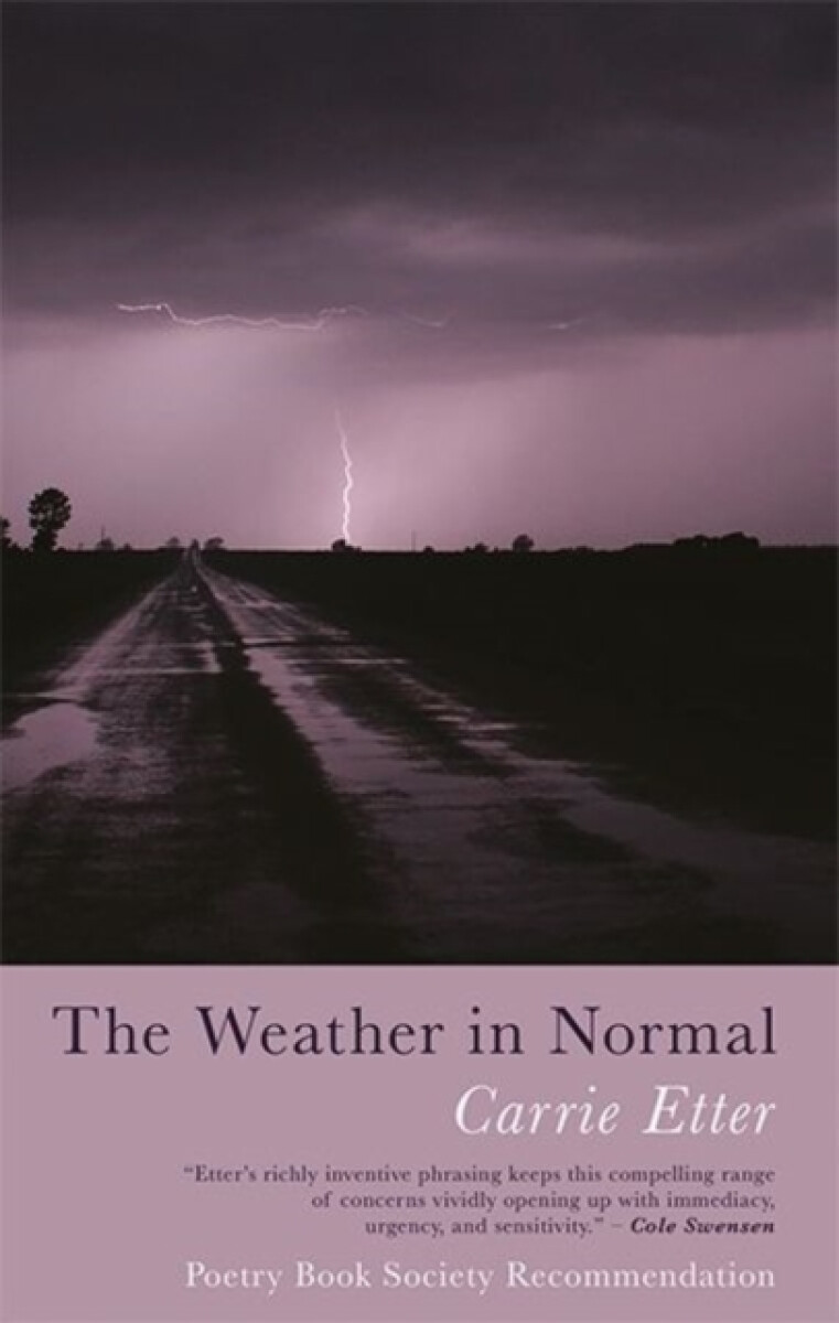 The Weather in Normal - Carrie Etter